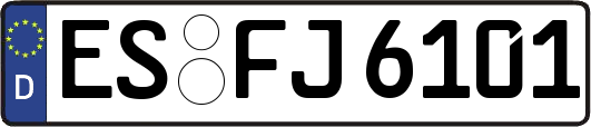 ES-FJ6101