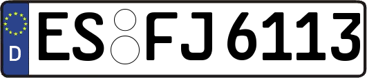 ES-FJ6113