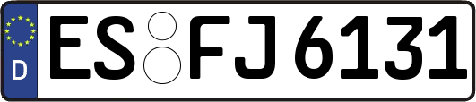 ES-FJ6131