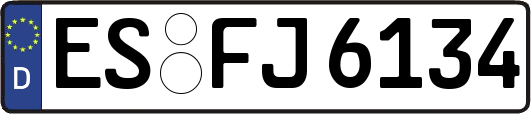 ES-FJ6134
