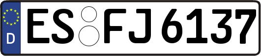 ES-FJ6137