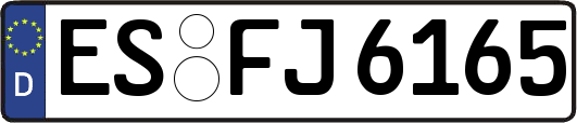 ES-FJ6165