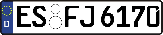 ES-FJ6170