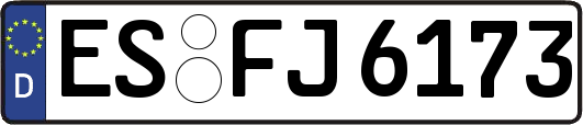 ES-FJ6173