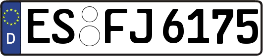 ES-FJ6175
