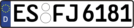 ES-FJ6181