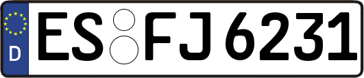 ES-FJ6231