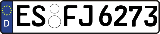 ES-FJ6273