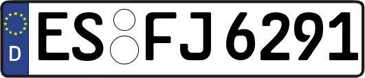 ES-FJ6291