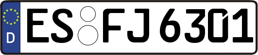 ES-FJ6301