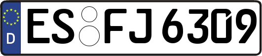 ES-FJ6309