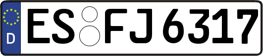 ES-FJ6317
