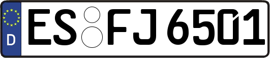 ES-FJ6501
