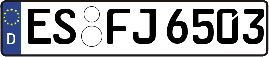 ES-FJ6503