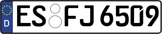 ES-FJ6509