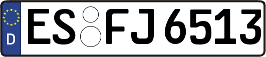 ES-FJ6513