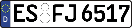 ES-FJ6517