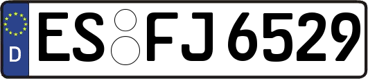 ES-FJ6529