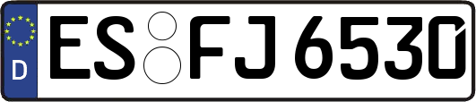 ES-FJ6530