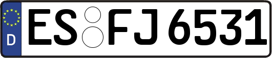 ES-FJ6531