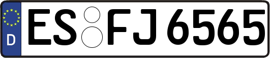 ES-FJ6565