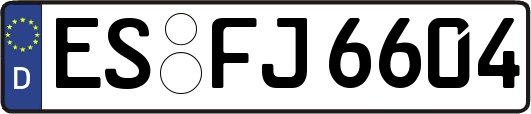 ES-FJ6604