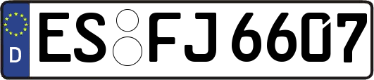 ES-FJ6607