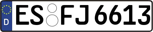 ES-FJ6613