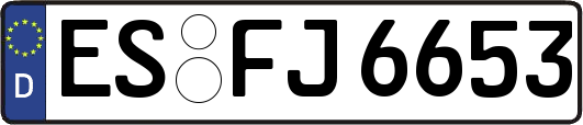 ES-FJ6653