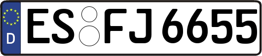 ES-FJ6655