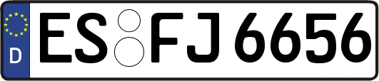 ES-FJ6656