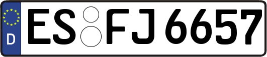 ES-FJ6657