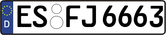 ES-FJ6663
