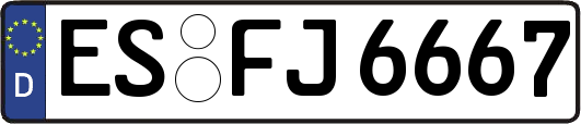 ES-FJ6667