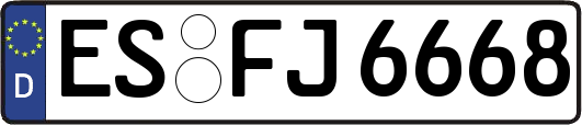 ES-FJ6668