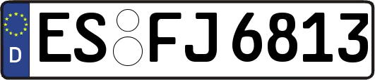 ES-FJ6813