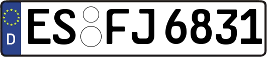 ES-FJ6831