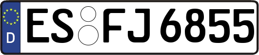 ES-FJ6855