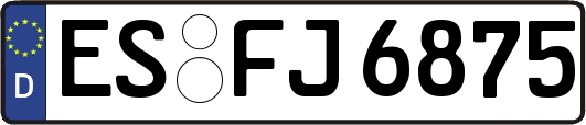 ES-FJ6875