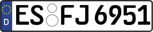 ES-FJ6951