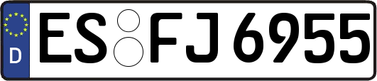 ES-FJ6955