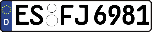 ES-FJ6981