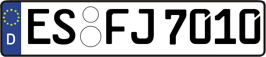 ES-FJ7010