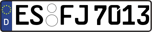 ES-FJ7013