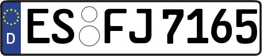 ES-FJ7165
