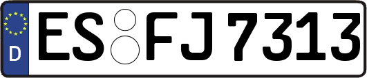 ES-FJ7313