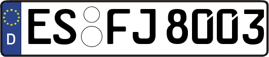 ES-FJ8003