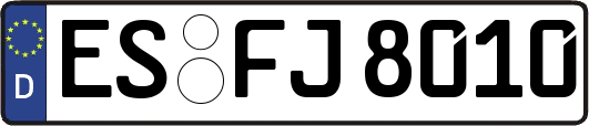 ES-FJ8010