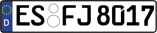 ES-FJ8017