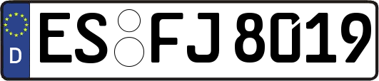 ES-FJ8019